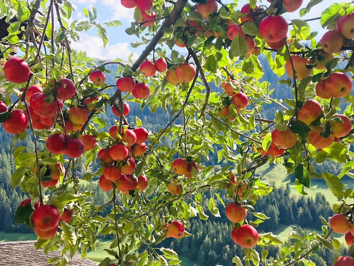 Denkmalgeschuetzter Spycher Total Renoviert Goms Bagian luar foto